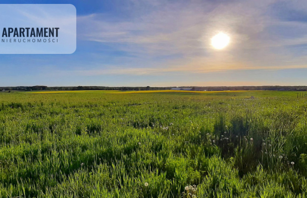 działka budowlana z projektem domu- Szałkowo