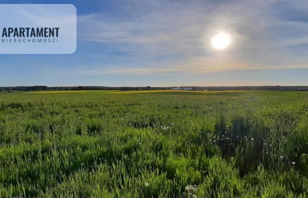 działka budowlana z projektem domu- Szałkowo