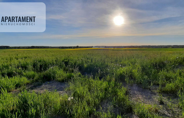 działka budowlana z projektem domu- Szałkowo