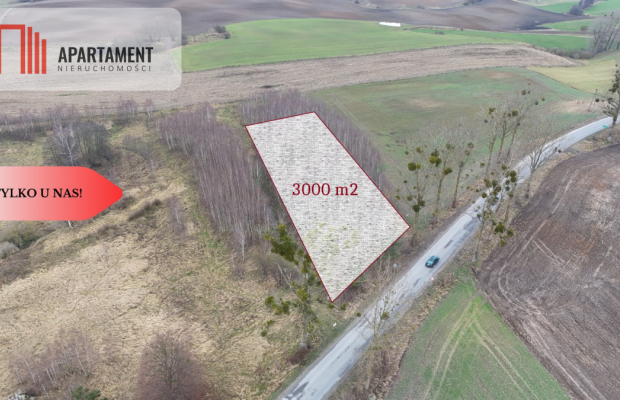 * Działka 3000m2 z WZ Łąsko Małe KORONOWO
