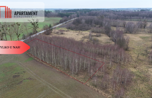 * Działka 3000m2 z WZ Łąsko Małe KORONOWO