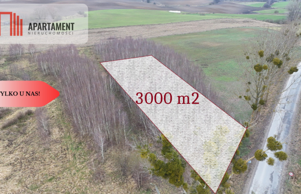 * Działka 3000m2 z WZ Łąsko Małe KORONOWO