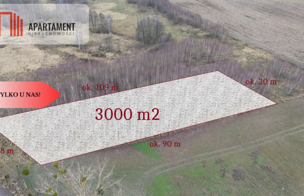 * Działka 3000m2 z WZ Łąsko Małe KORONOWO