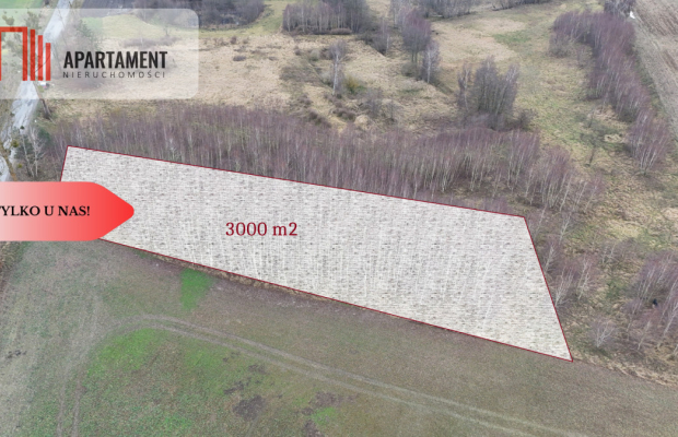 * Działka 3000m2 z WZ Łąsko Małe KORONOWO