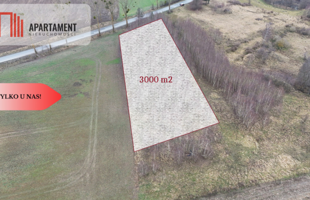 * Działka 3000m2 z WZ Łąsko Małe KORONOWO