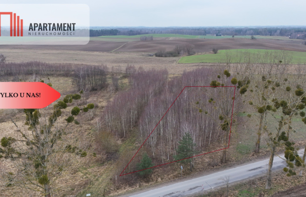 * Działka 3000m2 z WZ Łąsko Małe KORONOWO