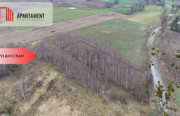 * Działka 3000m2 z WZ Łąsko Małe KORONOWO