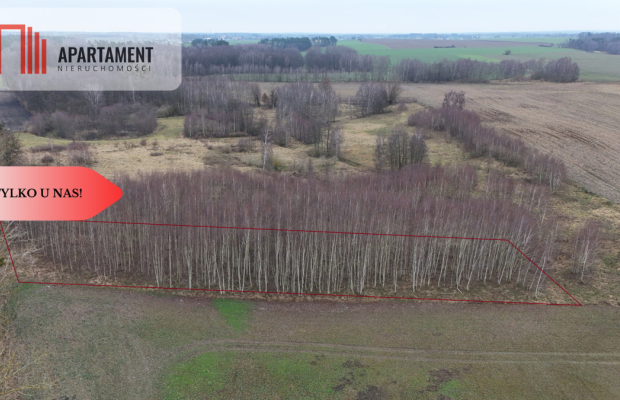 * Działka 3000m2 z WZ Łąsko Małe KORONOWO