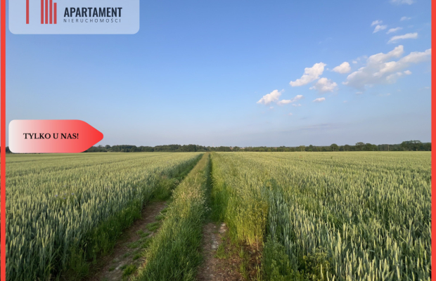 PIĘKNE Działki Budowlane pod Bolesławcem! Kruszyn