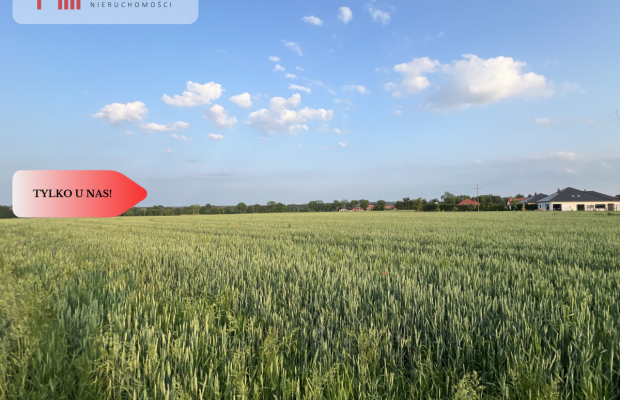 PIĘKNE Działki Budowlane pod Bolesławcem! Kruszyn