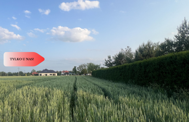 PIĘKNE Działki Budowlane pod Bolesławcem! Kruszyn