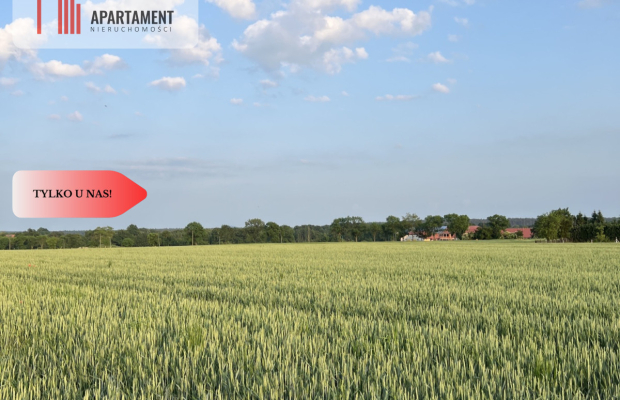 PIĘKNE Działki Budowlane pod Bolesławcem! Kruszyn