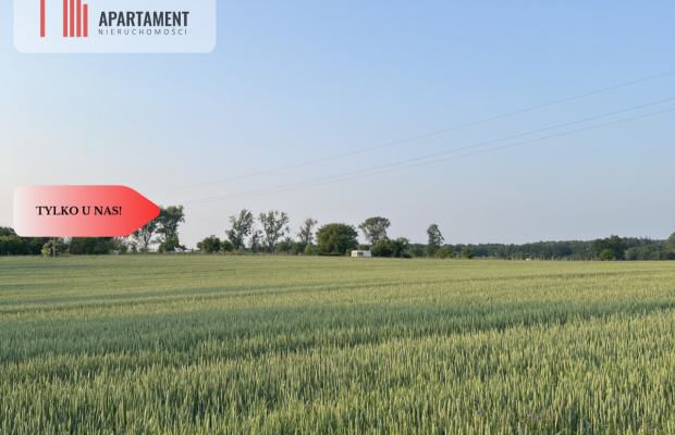 PIĘKNE Działki Budowlane pod Bolesławcem! Kruszyn