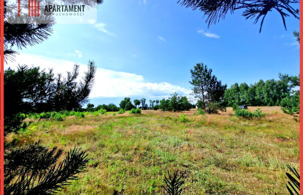 Wymarzone miejsce na  Twój dom w otulinie sosen!