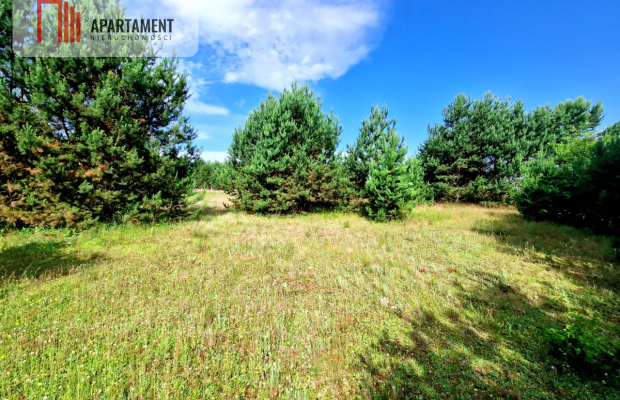 Wymarzone miejsce na  Twój dom w otulinie sosen!