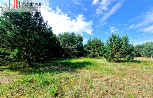 Wymarzone miejsce na  Twój dom w otulinie sosen!