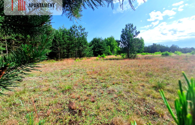 Wymarzone miejsce na  Twój dom w otulinie sosen!