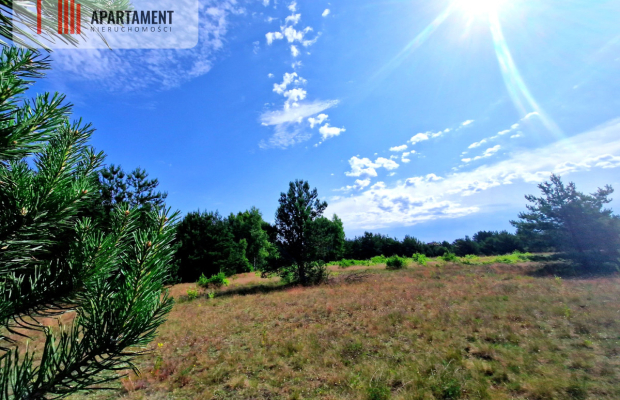 Wymarzone miejsce na  Twój dom w otulinie sosen!