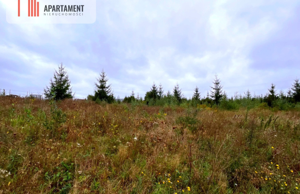 Działki w Kolinczu z dala od ulicy