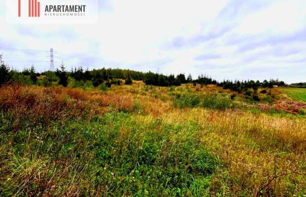 Działki w Kolinczu z dala od ulicy