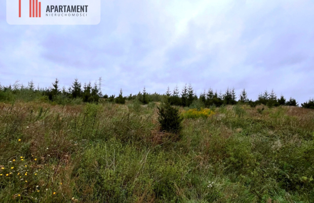 Działki w Kolinczu z dala od ulicy