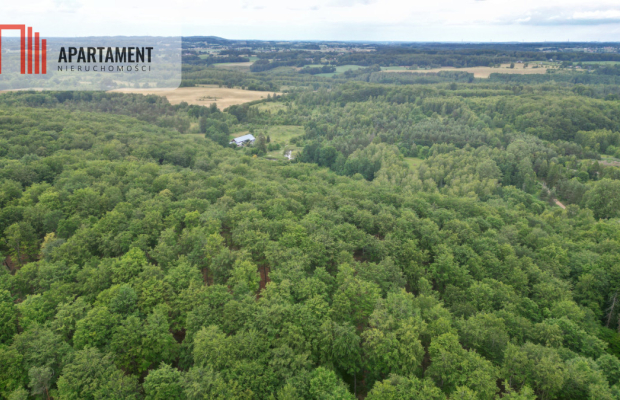 Działka inwestycyjna