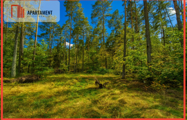 Objęta mpzp, w otoczeniu lasu.