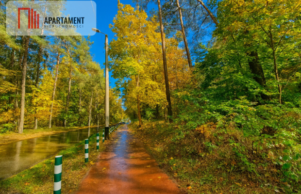 Objęta mpzp, w otoczeniu lasu.