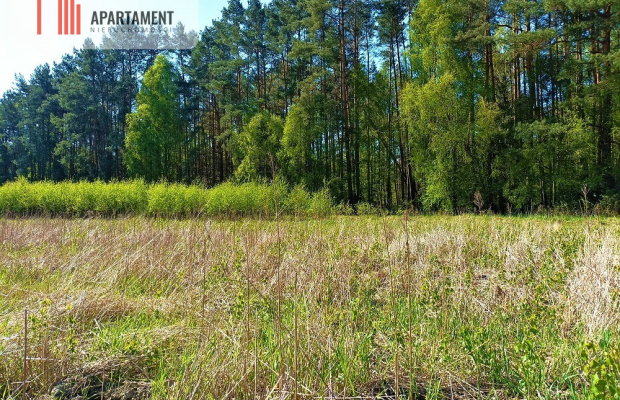 DZIAŁKA NEKLA - SUPER LOKALIZACJA, ŚCIANA LASU