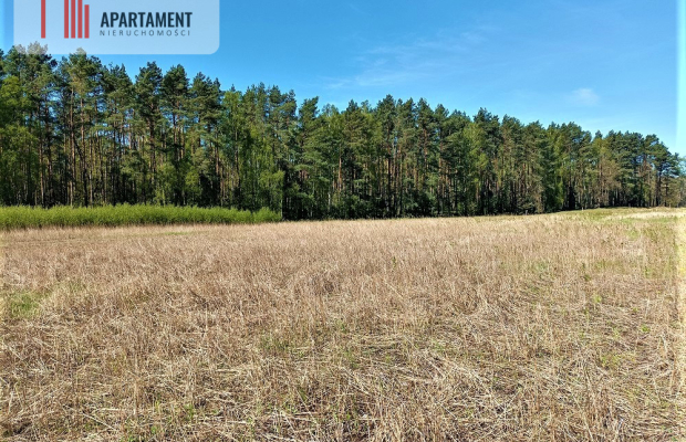 DZIAŁKA NEKLA - SUPER LOKALIZACJA, ŚCIANA LASU