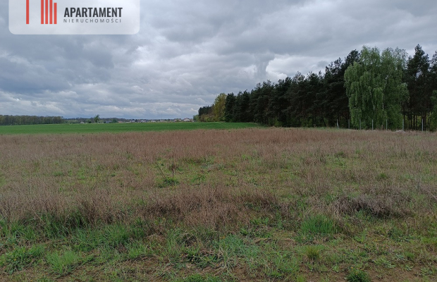 DZIAŁKA NEKLA - SUPER LOKALIZACJA, ŚCIANA LASU