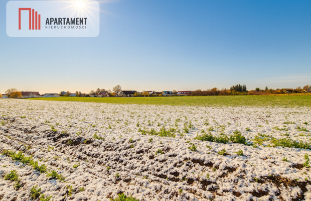 Działki w spokojnej i cichej okolicy.