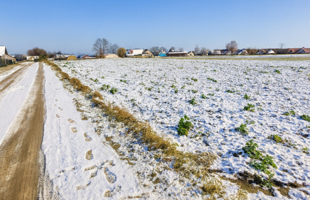 Działki w spokojnej i cichej okolicy.