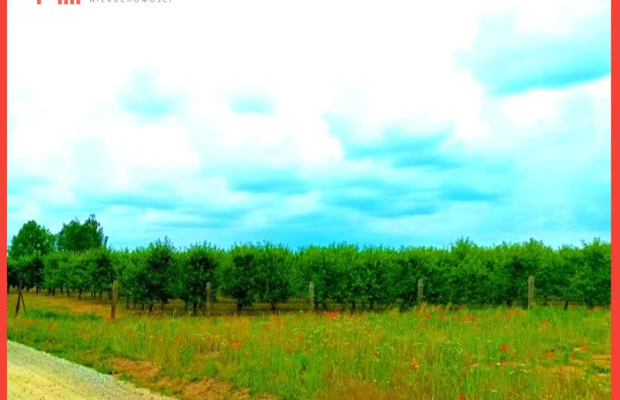 MORZEWIEC 1067 m2 ŚWIETNA LOKALIZACJA