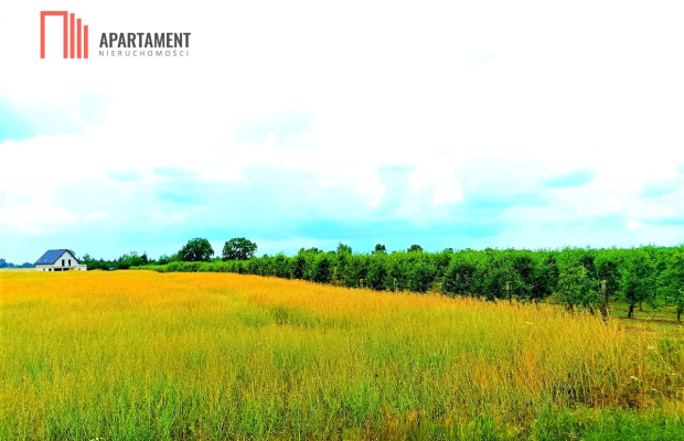 MORZEWIEC 1067 m2 ŚWIETNA LOKALIZACJA