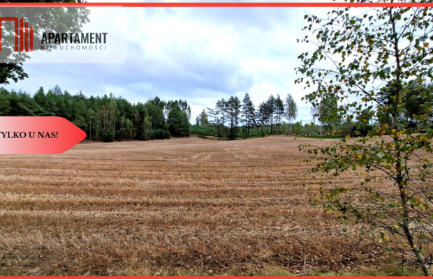 Tylko u Nas! Działka budowlana - Małe Chełmy