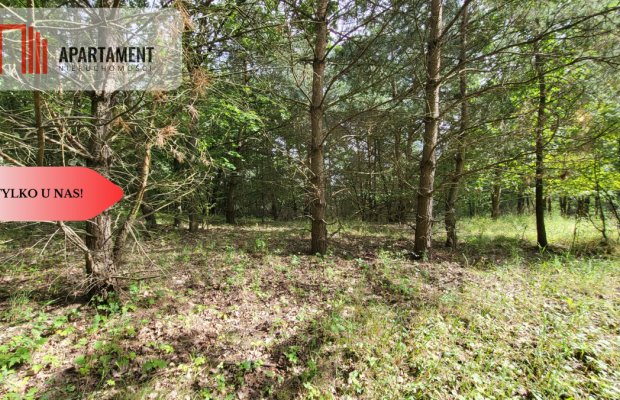 2118mkw z WZ - Wyrzysk Skarbowy