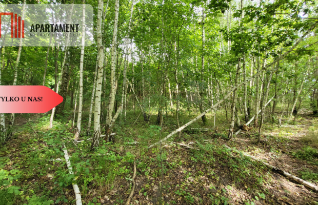 2118mkw z WZ - Wyrzysk Skarbowy