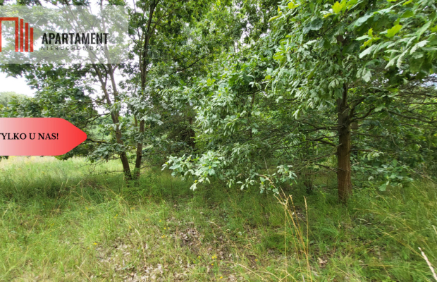 2118mkw z WZ - Wyrzysk Skarbowy