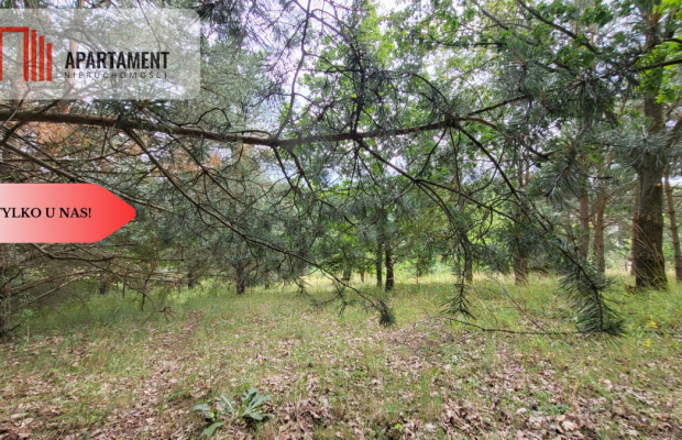 2118mkw z WZ - Wyrzysk Skarbowy