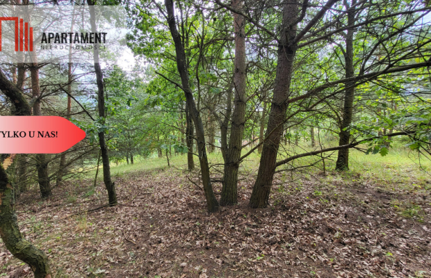 2118mkw z WZ - Wyrzysk Skarbowy