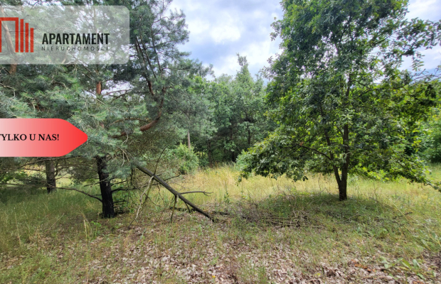 2118mkw z WZ - Wyrzysk Skarbowy