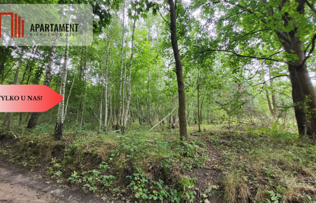 2118mkw z WZ - Wyrzysk Skarbowy