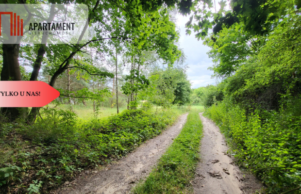 2118mkw z WZ - Wyrzysk Skarbowy