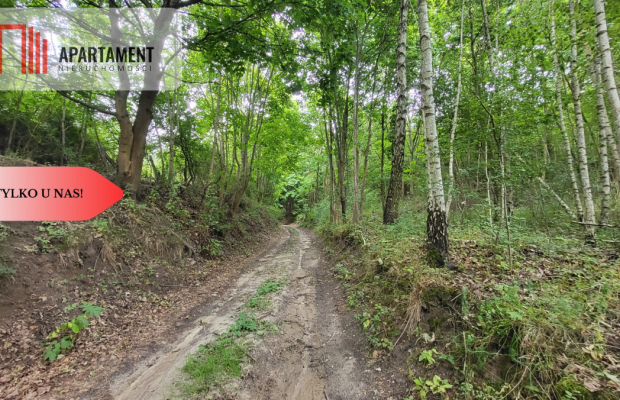 2118mkw z WZ - Wyrzysk Skarbowy