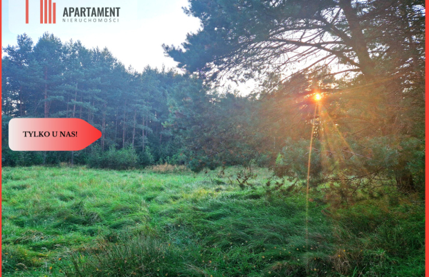 Tylko u nas! Działka rolna z pięknym zadrzewieniem