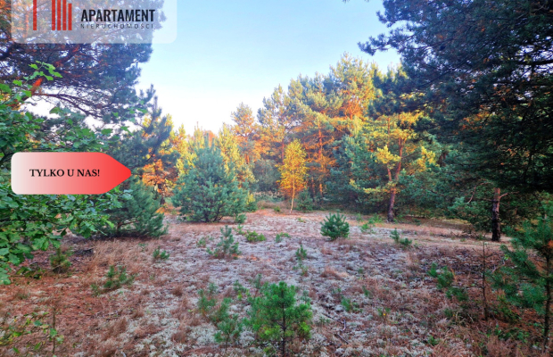 Tylko u nas! Działka rolna z pięknym zadrzewieniem