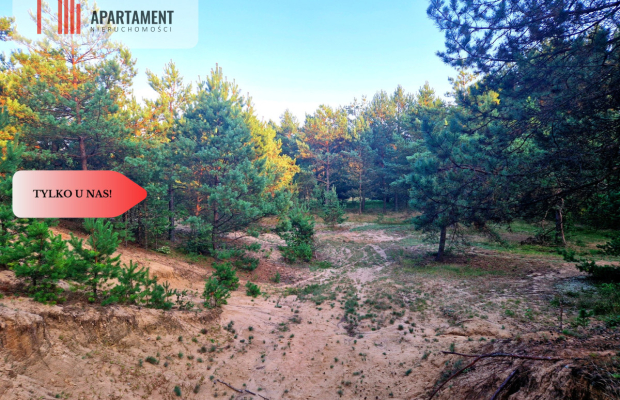 Tylko u nas! Działka rolna z pięknym zadrzewieniem