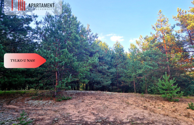 Tylko u nas! Działka rolna z pięknym zadrzewieniem