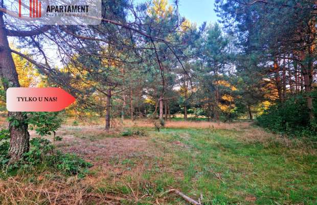 Tylko u nas! Działka rolna z pięknym zadrzewieniem